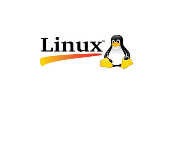 Linux 지원 (Seetrol Ask)