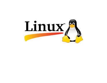 Linux용 Seetrol ASK 설치 영상